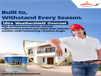 Weather-Proof Your Walls: Why Exterior Paint Matters?